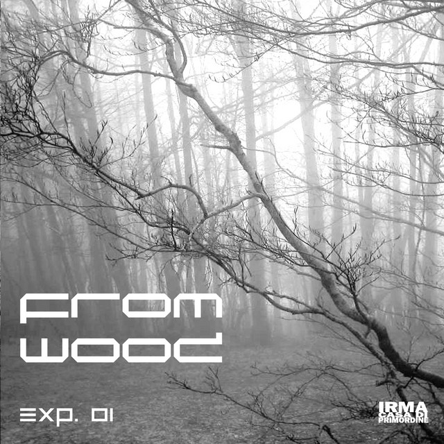 Exp. 01 cover art