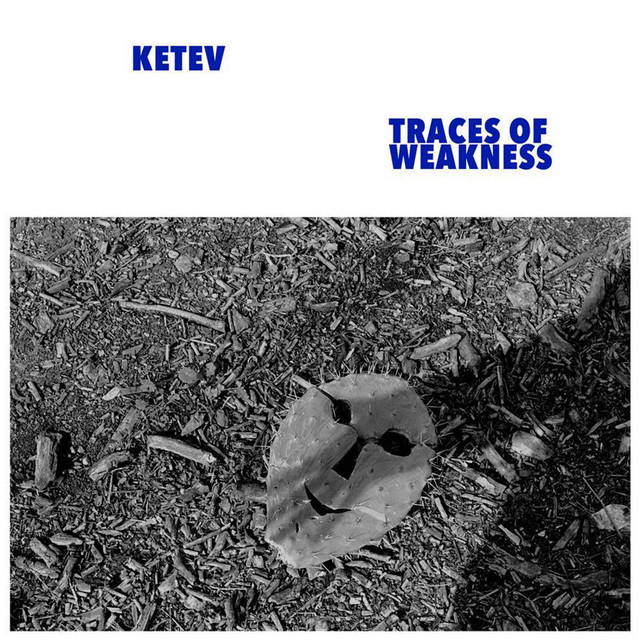 Traces of Weakness cover art