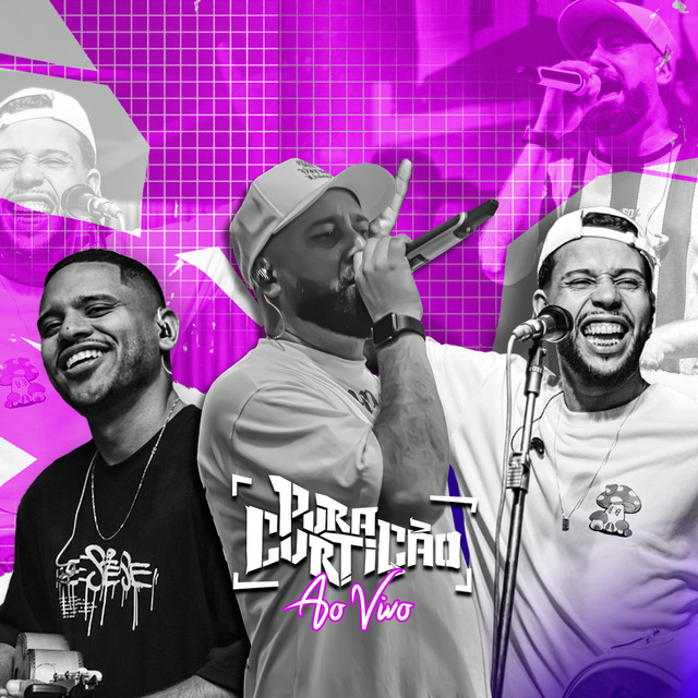Pura Curtição (Ao Vivo) cover art