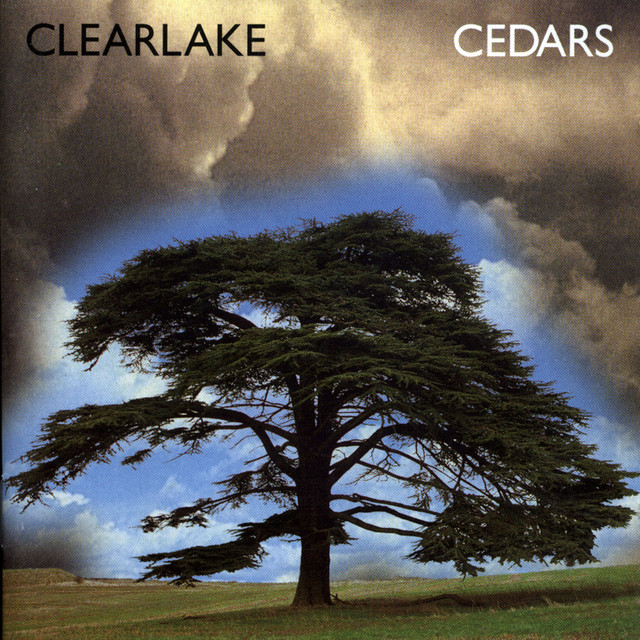 Cedars cover art