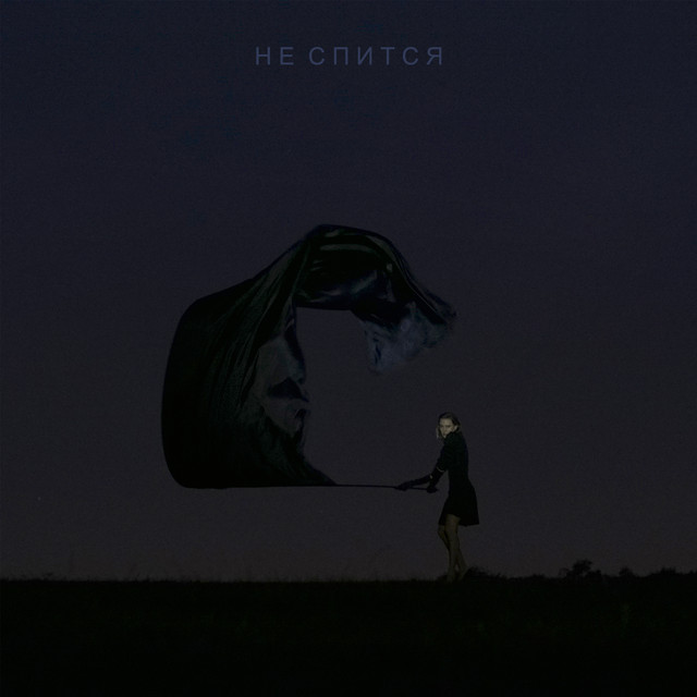 Обкладинка: Не Спится — LAYAH