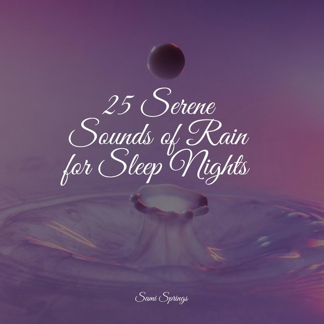 25 Serene Sounds of Rain for Sleep Nights - Album by Massage Therapy ...