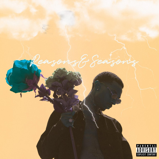 REASONZ & SEASONZ cover art