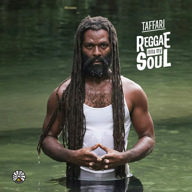 Reggae Inna My Soul cover