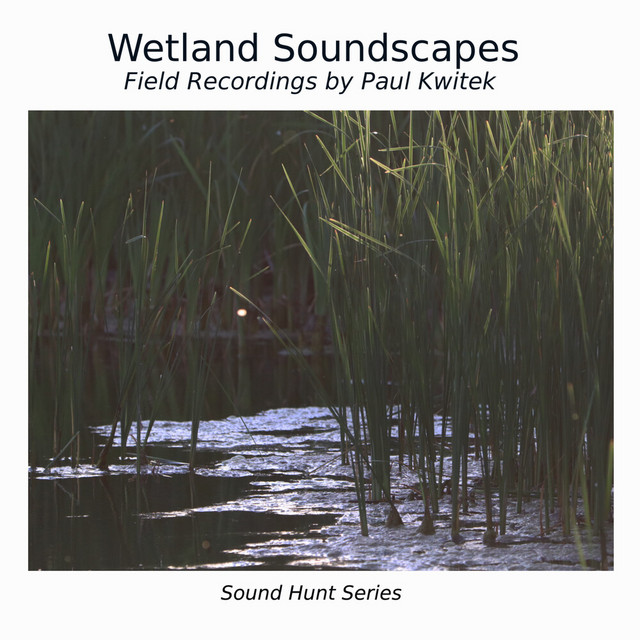 Wetlands Soundscapes cover art