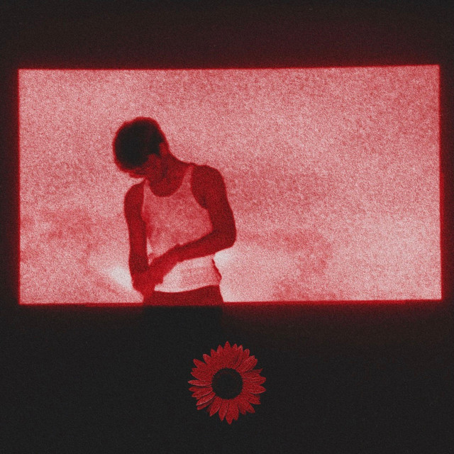 WALLFLOWER (Birthday Deluxe) cover art