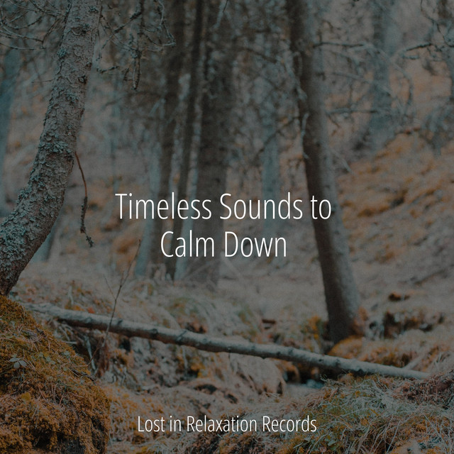 Timeless Sounds to Calm Down - Album by Happy Baby Lullaby Collection ...