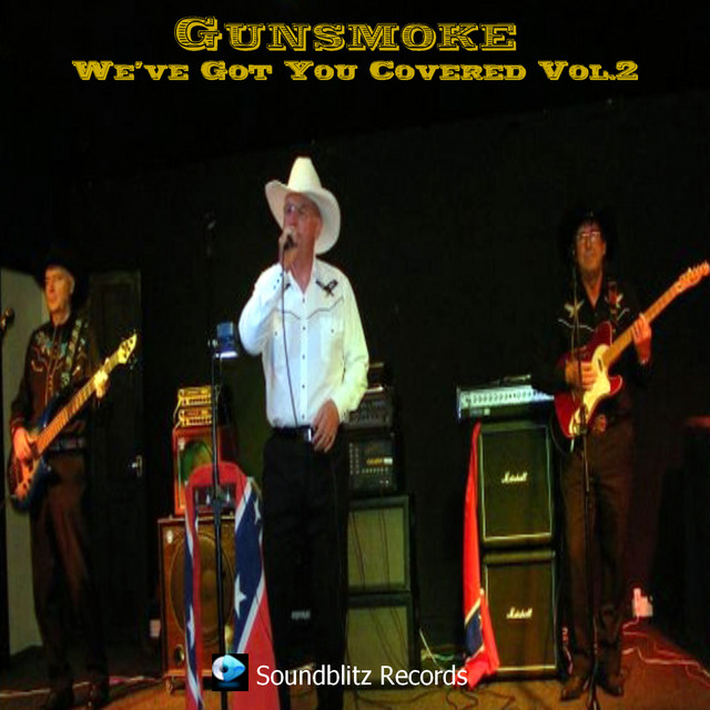 We've Got You Covered, Vol. 2 cover art