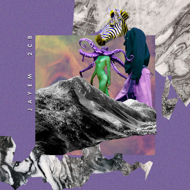 2CB cover art