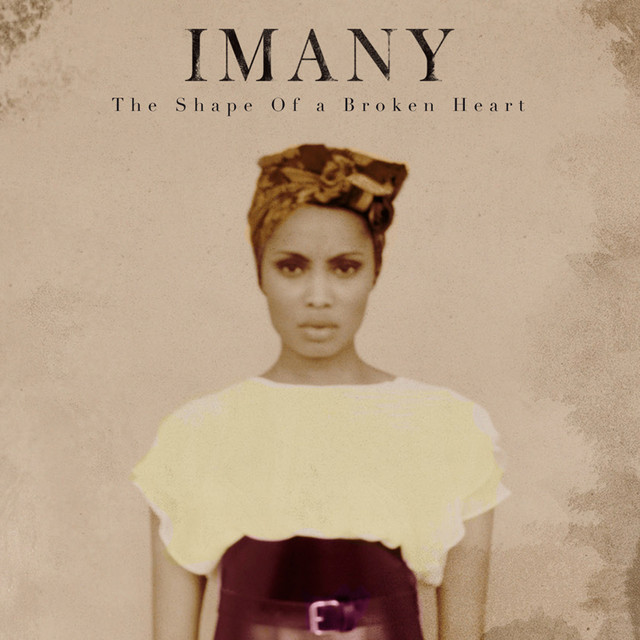 The shape of a broken heart cover art