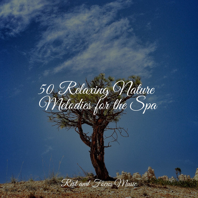 50 Relaxing Nature Melodies for the Spa - Album by Meditation ...