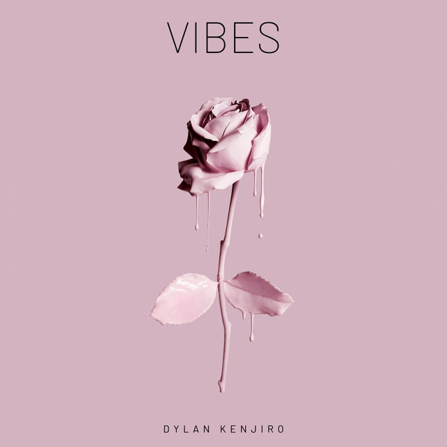Vibes cover art