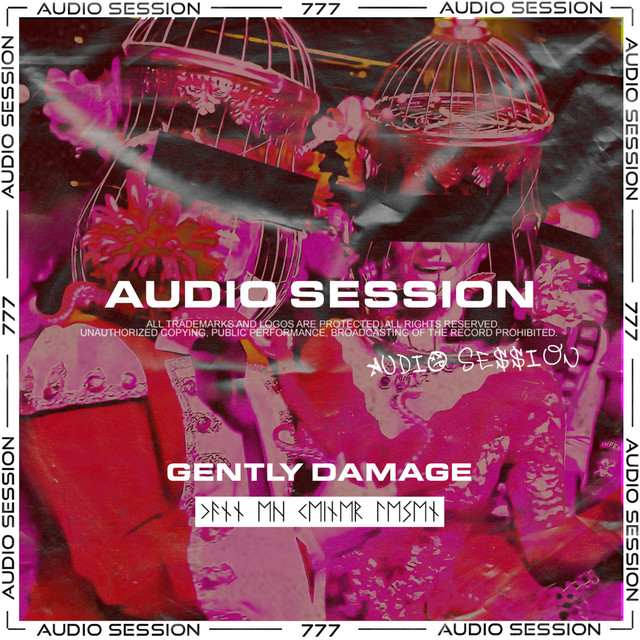 Gently Damage cover art