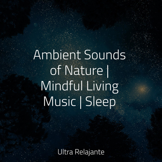 Ambient Sounds of Nature | Mindful Living Music | Sleep - Album by ...