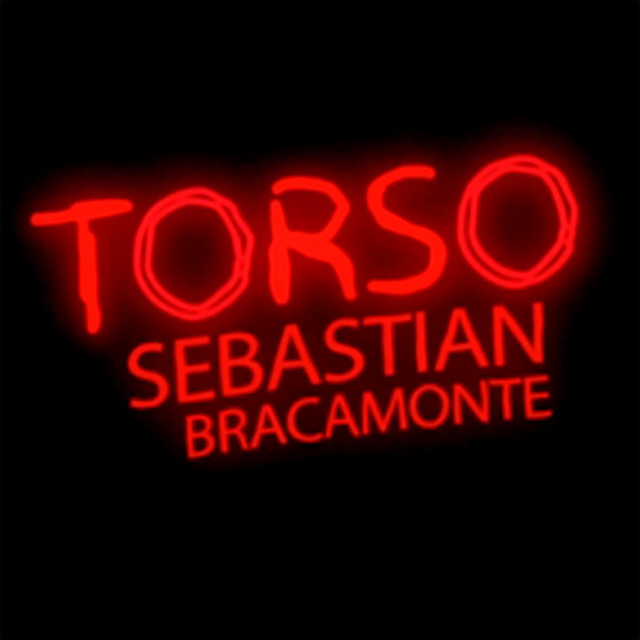 Torso cover art