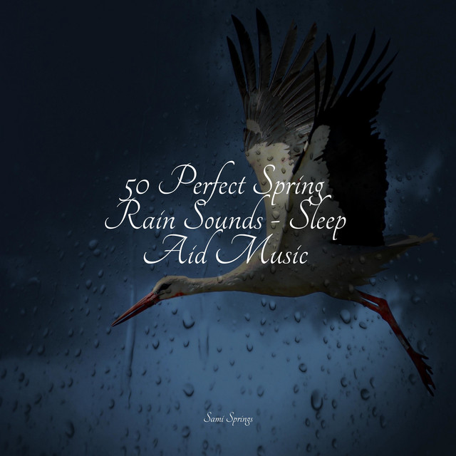 50 Perfect Spring Rain Sounds - Sleep Aid Music - Album by Yoga Soul ...