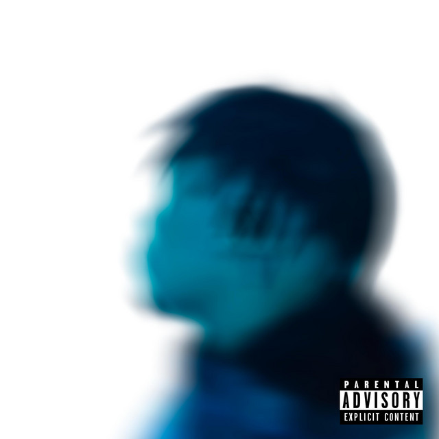 Nerf cover art