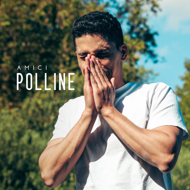 Polline cover art