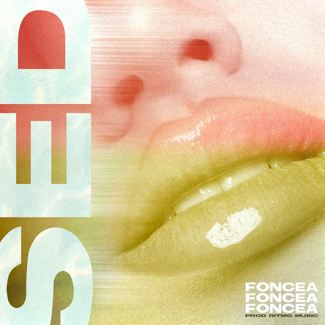 SED cover art