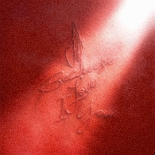 ALL BECAUSE I LOVE U album image