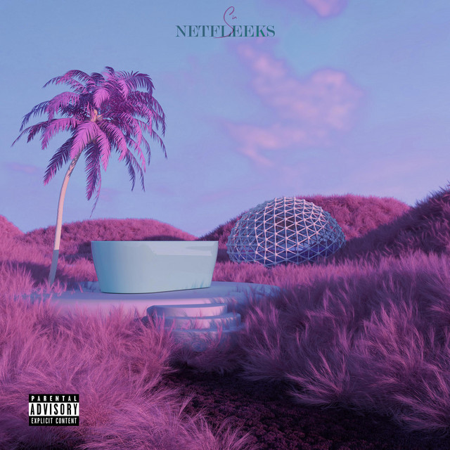 Netfleeks cover art