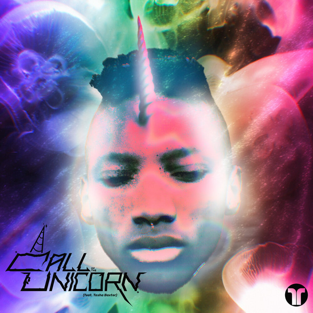 Call Of The Unicorn album art