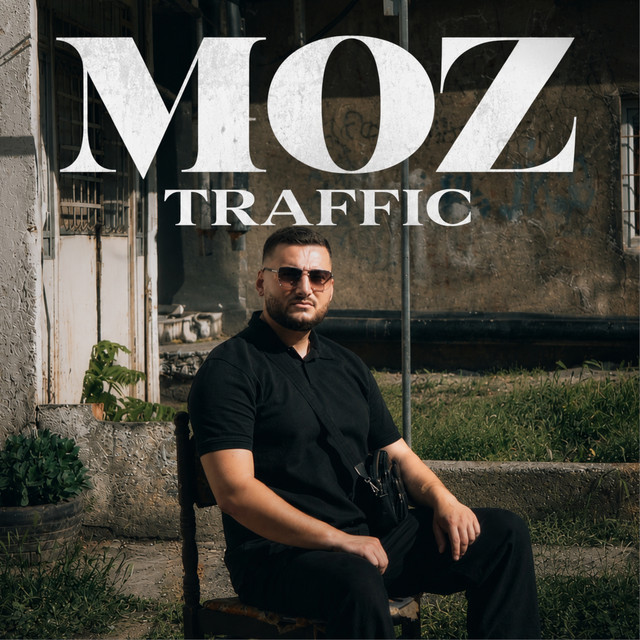 Traffic cover