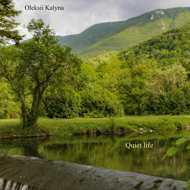 Обкладинка: Quiet life — Oleksii Kalyna