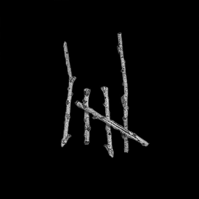 Five Sticks cover