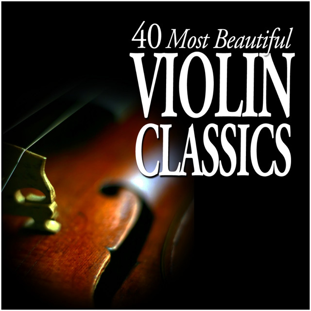 Bach, JS: Concerto for Two Violins in D Minor, BWV 1043: II. Largo ma non tanto
