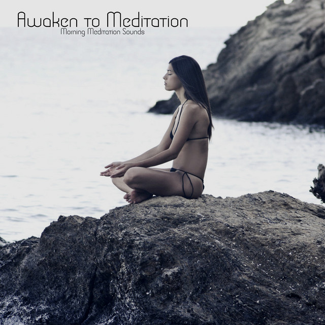 Awaken to Meditation cover art