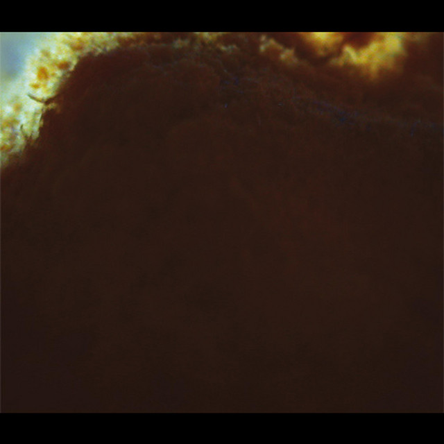 Instuif cover art
