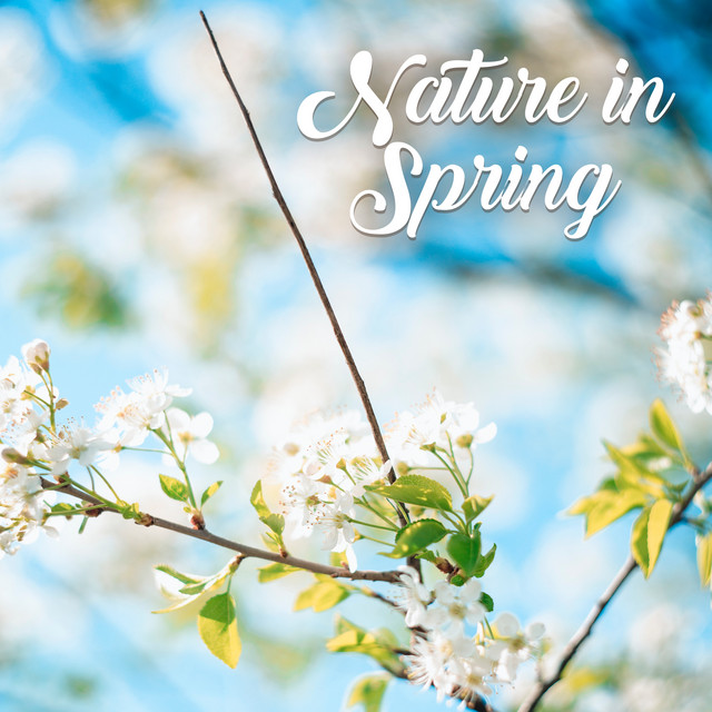 Nature in Spring: Sounds of Nature, Birds, Water and Rain, Animals ...