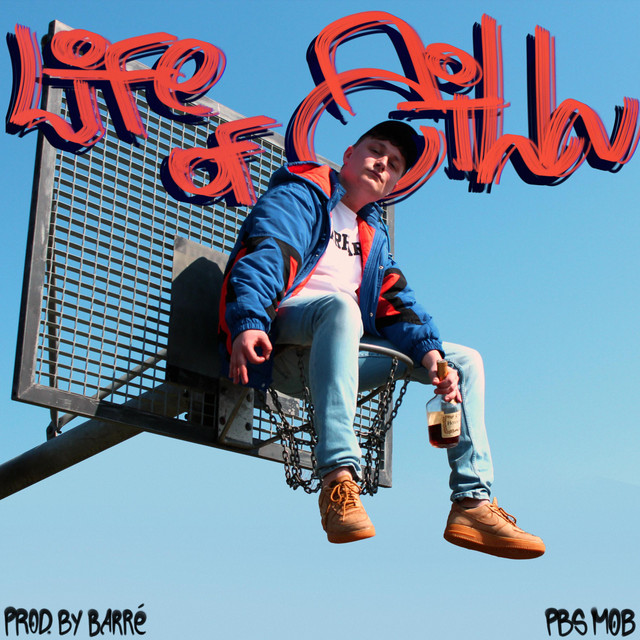 Life of Zill cover