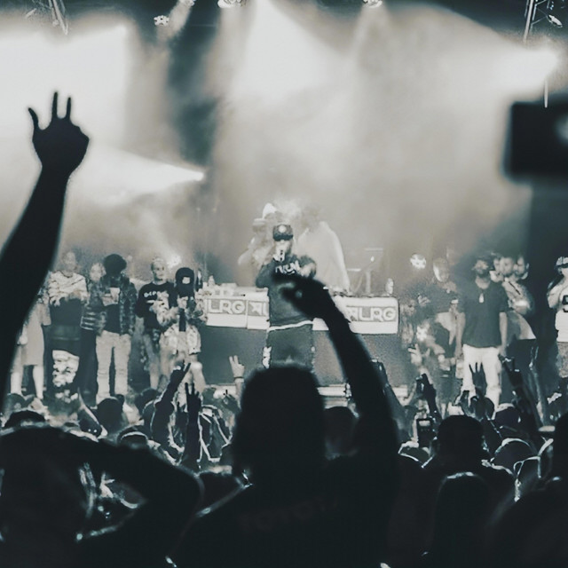 LIVE cover art