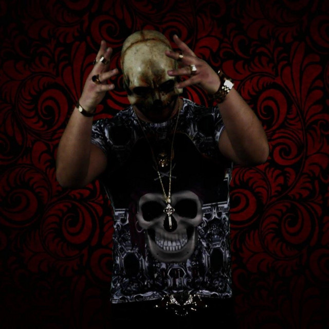 Delilerin Delisi cover art
