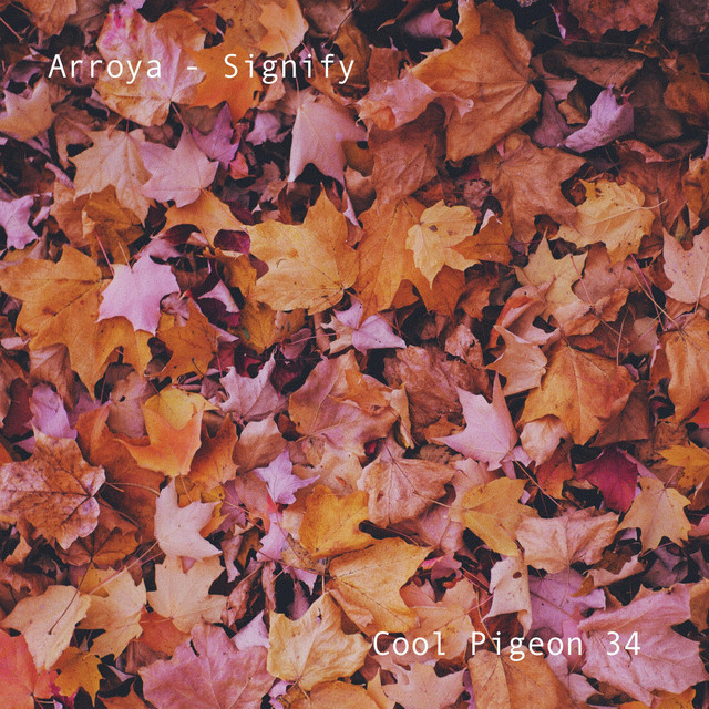 Signify cover art