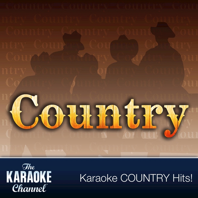 Karaoke: Country Timeline Male Hits of 2000 - 1(中古品) The Karaoke Channel - Country Hits of 2000, Vol. 1 - Album by The