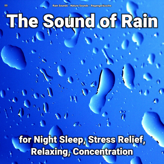 !!!! The Sound of Rain for Night Sleep, Stress Relief, Relaxing, Concentration cover art