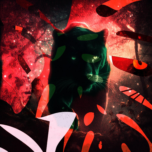 Competitor cover art