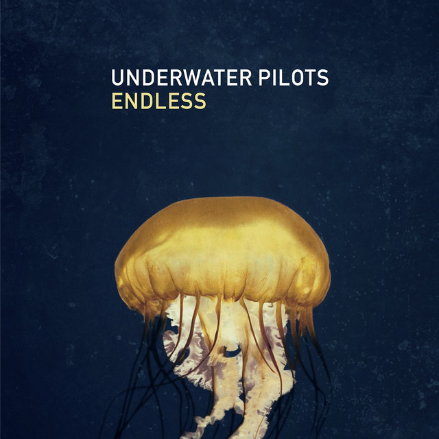 Underwater Pilots Photo