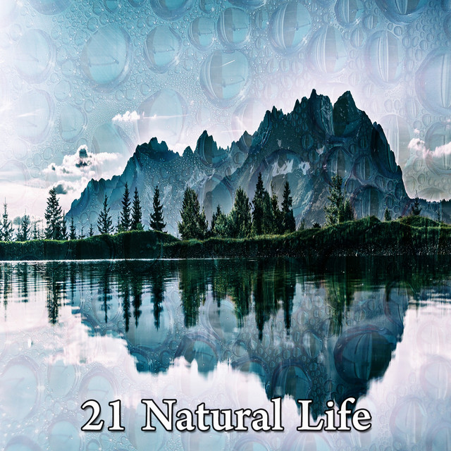21 Natural Life - Album by Forest Sounds | Spotify