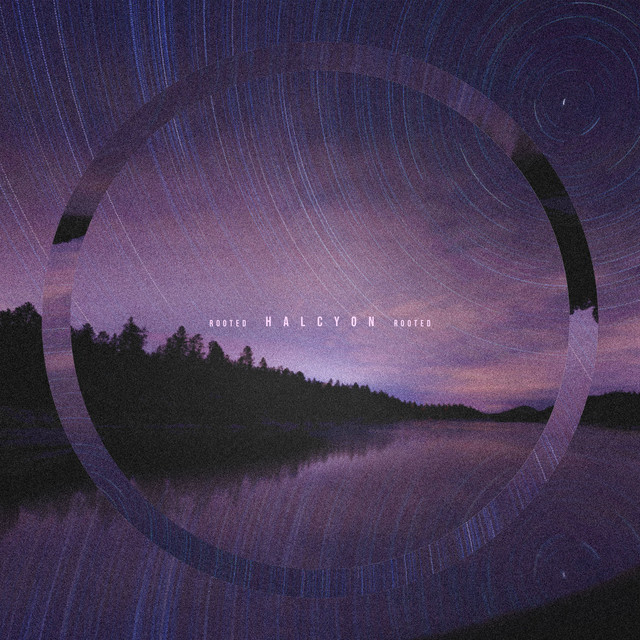 Rooted cover art