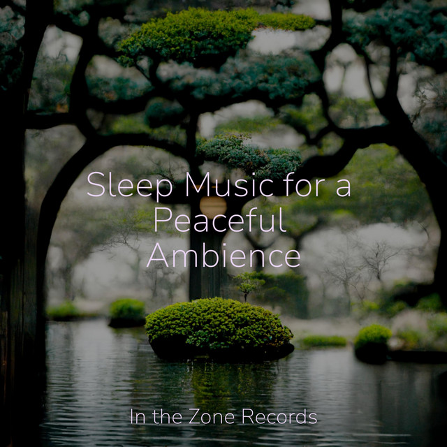 Sleep Music for a Peaceful Ambience - Album by Best Relaxing SPA Music ...