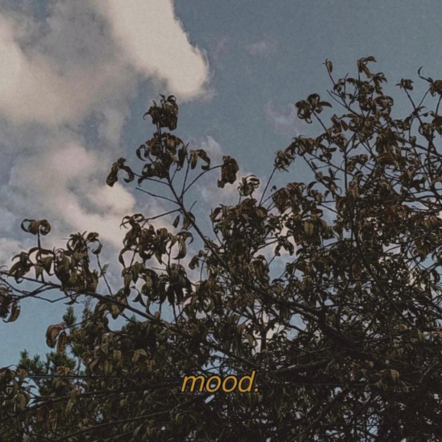 PA SIEMPRE cover art