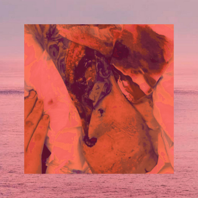 POINT ИEMO cover art