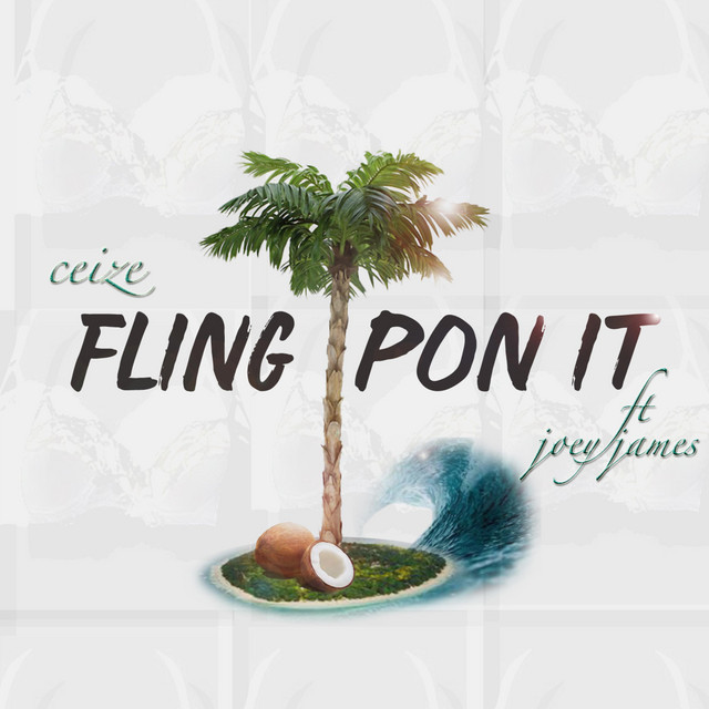 Fling Pon It