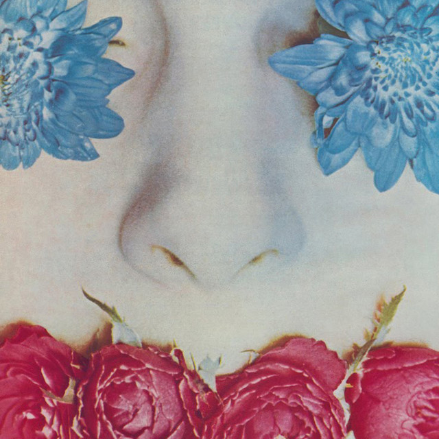 Graceless cover art