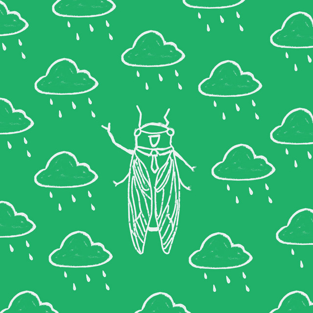 cicada cover art