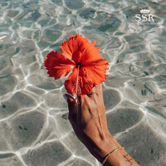 Ibiskis cover art